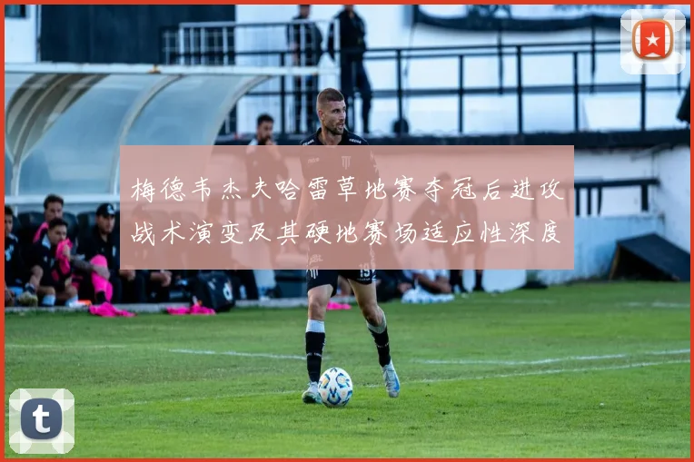 梅德韦杰夫哈雷草地赛夺冠后进攻战术演变及其硬地赛场适应性深度解析